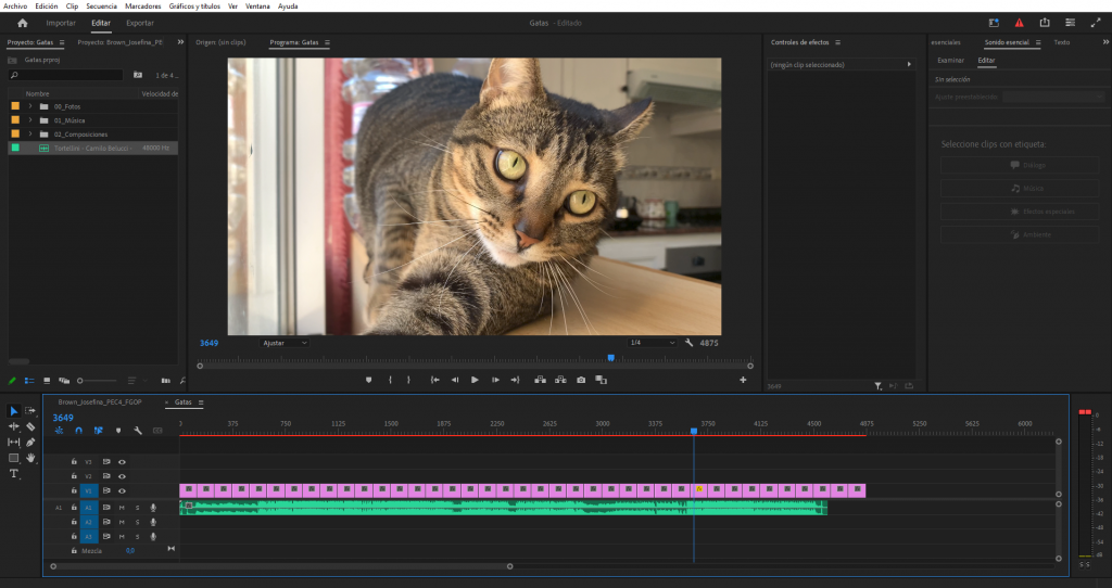 Interfaz Adobe Premiere Pro